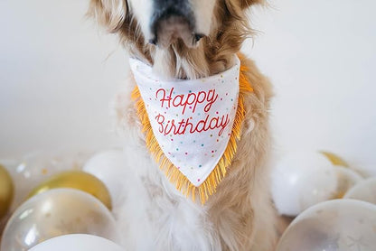 ZippyPaws Dog Birthday Gift Bandana &amp; Bone - Cute Accessories for Girl &amp; Boy Dogs, Holiday Set, Fits Small, Medium, &amp; Large Dogs, Stuffed Plush Toy, Machine Washable Handkerchief - One Size Fits Most