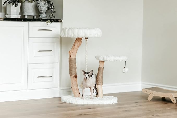 Mau Lifestyle Luxury Cat Tree: Modern Cat Condo &amp; Luxury Wood Cat Tower; Natural Branch Scratching Tree &amp; Cat Condo; Cat Gifts by Mau