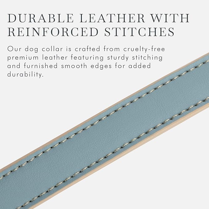 Cupertino Dog Collars, Harnesses &amp; Leashes Made from Vegan Leather with Dog Tracker Device Holder Adjustable Dog Collar (Extra Small, Blue)