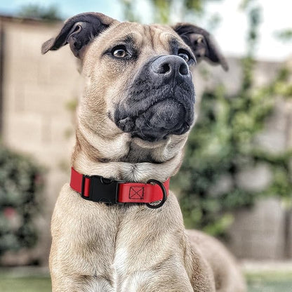 Dogline Biothane Waterproof Dog Collar with Quick Release Buckle Strong Coated Nylon Webbing with Odor- Proof for Easy Care Easy to Clean Fits Small Medium Large Dogs, Red 5/8" W 9-14" L