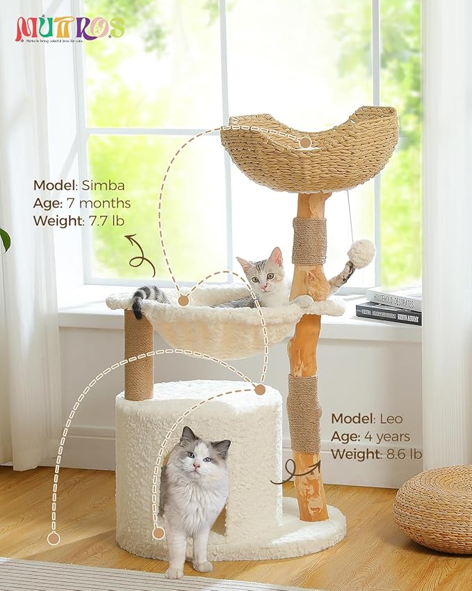 Modern Cat Tree for Large Cats, Wood Cat Tower for Indoor Cats, Real Branch Luxury Cat Furniture with Super Large Cozy Condo and Hammock &amp; Scratching Post, Top Basket, White