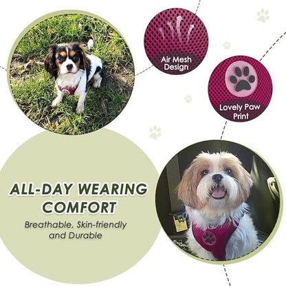Lukovee Dog Seat Belt for Car, Adjustable Dog Car Harness for Large Medium Small Dogs, Soft Padded &amp; Breathable Mesh Dog Seatbelt with Car Strap and Carabiner(Rose Double Clip,Large)