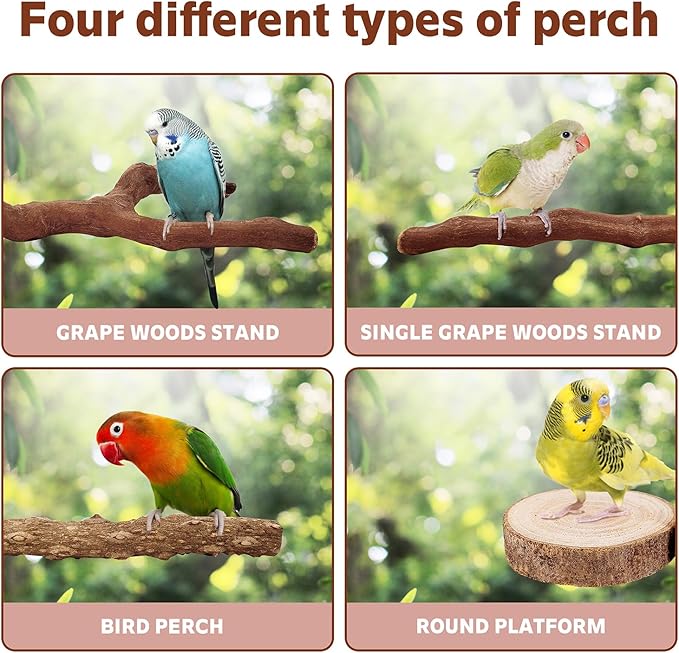 7-Piece Bird Perch Set: 3 Grapevine Paw Grinding Forks, 2 Wood Stands &amp; 2 Hammocks - Cage Accessories for Parakeets, Cockatiels, Conures, Budgies