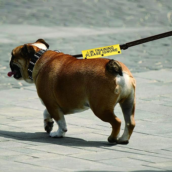 Funny Dog Leash Sleeve in Training Please Ignore Dog Leash Wrap Sleeve Alert Tag Pet Birthday Gift (Training Please Ignore-YE Sleeve)