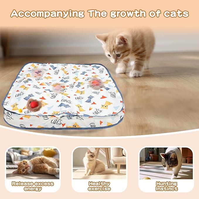 Rocfish Interactive Cat Toys Ball - Automatic Fast Rolling Ball in Play Mat, Hide and Seek Mouse Catching Game, Low-Noise Cat Enrichment Toys in Pouch for Indoor Bored Cats (Red Toy &amp; Square Mat)