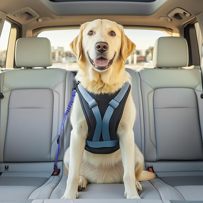 3 Pack Thickened Dog Seat Belt, Set Retractable Dog Car Adjustable Seatbelts for Vehicle Nylon Pet Safety Heavy Duty &amp; Elastic &amp; Durable Car Harness for Dogs, Blue