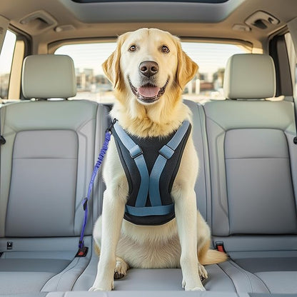 3 Pack Thickened Dog Seat Belt, Set Retractable Dog Car Adjustable Seatbelts for Vehicle Nylon Pet Safety Heavy Duty &amp; Elastic &amp; Durable Car Harness for Dogs, Blue