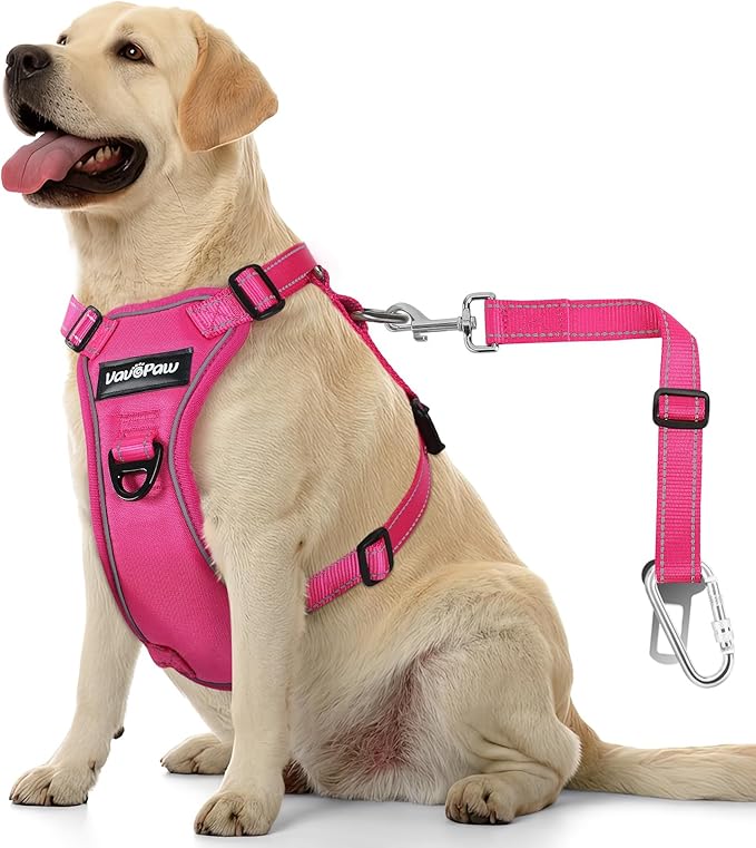 Dog Seat Belt Harness for Car, Dog Car Harness Adjustable Mesh Breathable &amp; Dog Seatbelt Safety Tether with Elastic Bungee for Small Medium Large Pets(Rose, XL)