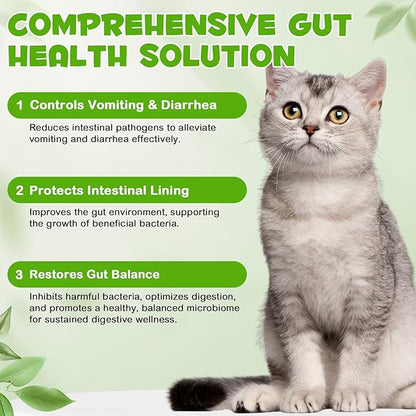 3-in-1 Probiotics for Cats(Pack of 2) with Digestive Enzymes &amp; Prebiotics – Supports Gut Health, Immune System &amp; Diarrhea Relief – 2 x 60ml for Cats of All Ages
