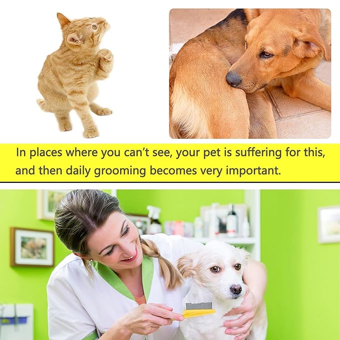 Cat &amp; Dog Comb Set - Fine Tooth Grooming Comb for Dandruff &amp; Hair Removal (Yellow)