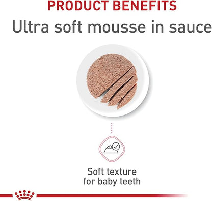 Royal Canin Feline Health Nutrition Mother &amp; Babycat Ultra Soft Mousse in Sauce Canned Cat Food, 3 oz can (24-count)