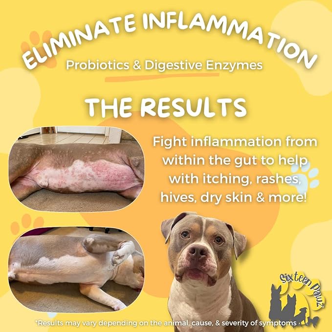Dog &amp; Cat Probiotics, Prebiotics, &amp; Digestive Enzymes – Flavorless Powder for Gut Health, Allergies, Itchy Skin, Gas &amp; Diarrhea – Organic, Vet-Approved – 65g Bottle (Up to 65 Servings)