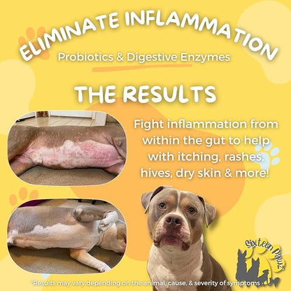 Dog &amp; Cat Probiotics, Prebiotics, &amp; Digestive Enzymes – Flavorless Powder for Gut Health, Allergies, Itchy Skin, Gas &amp; Diarrhea – Organic, Vet-Approved – 65g Bottle (Up to 65 Servings)