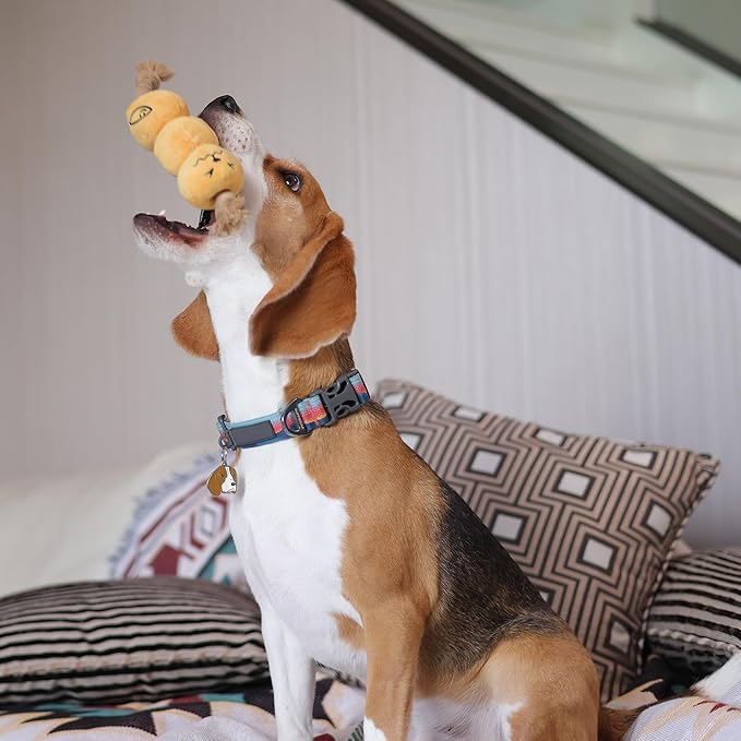 Curry Fishball Soft Plush Squeaky Dog Pull Toy - Durable, Iconic, Cute &amp; Fun Rope Toy for Interactive Bonding Time, Sliding Mechanism, Hide Food for Puzzle Play, Small Medium Dogs