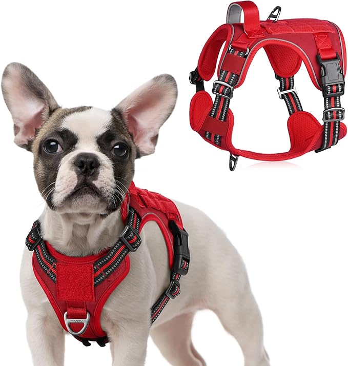 rabbitgoo Tactical Dog Harness for Small Dogs, No Pull Military Service Vest with Handle &amp; Molle, Easy Control for Training Walking, Adjustable Reflective Straps, Red, S