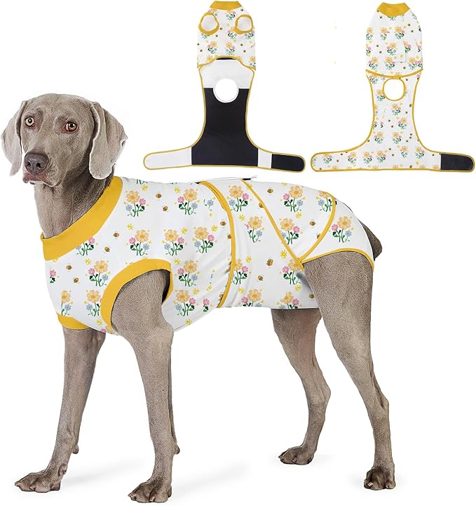 Recovery Suit for Dogs After Surgery, Professional Dog Surgical Suit for Female Spay, Male Neuter, E-Collar &amp; Cone Alternative Dog Onesie for Abdominal Wounds Skin Disease, Yellow, M