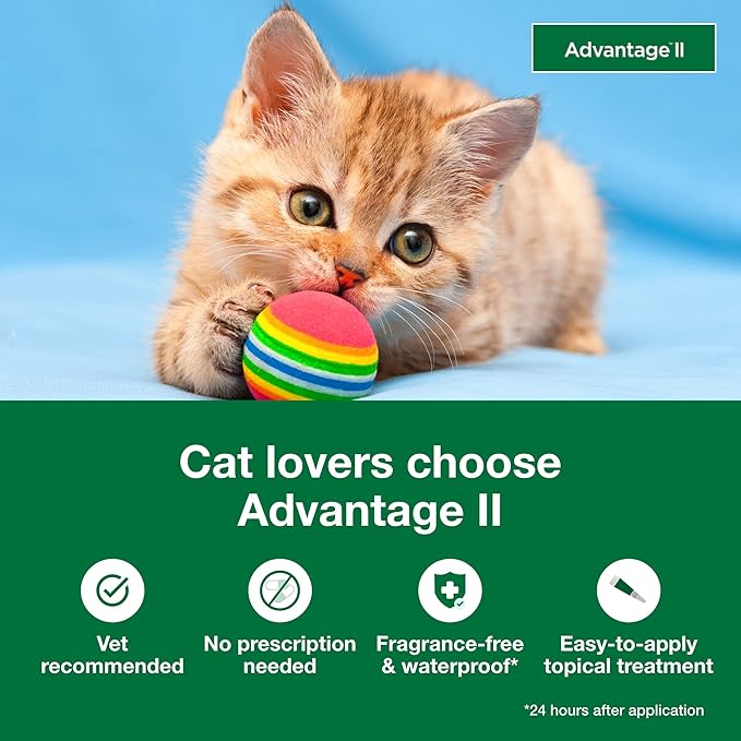 Advantage II Kitten Vet-Recommended Flea Treatment &amp; Prevention | Cats 2-5 lbs. | 2-Month Supply