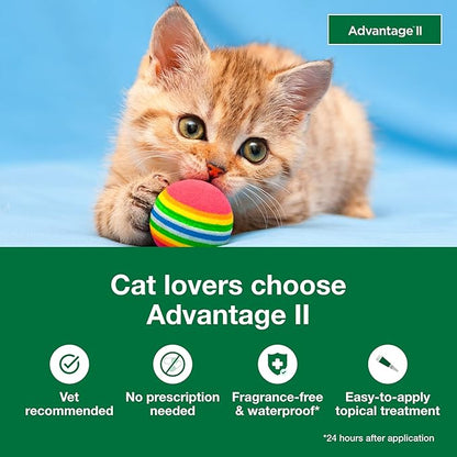 Advantage II Kitten Vet-Recommended Flea Treatment &amp; Prevention | Cats 2-5 lbs. | 2-Month Supply