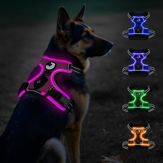 Taglory Light Up Dog Harness, Rechargeable No Pull Dog Vest with 3 Lightning Modes, Reflective Dog Harness with 2 Leash Clips &amp; 4 Adjustable Slide Strips for Large Dogs, Hotpink-Hotpink, XL