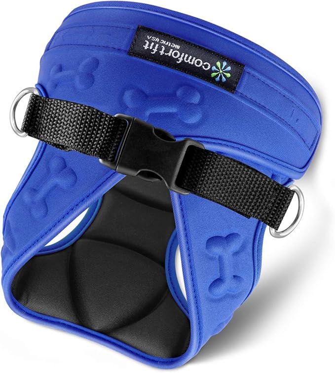 Comfort Fit Dog Harness No Pull with 2 Leash Clips Step in Harness for Small Sized Dogs Soft Padded Comfortable All Weather Dog Vest with Easy Control Adjustable Buckles for Dogs &amp; Puppies – Blue XS