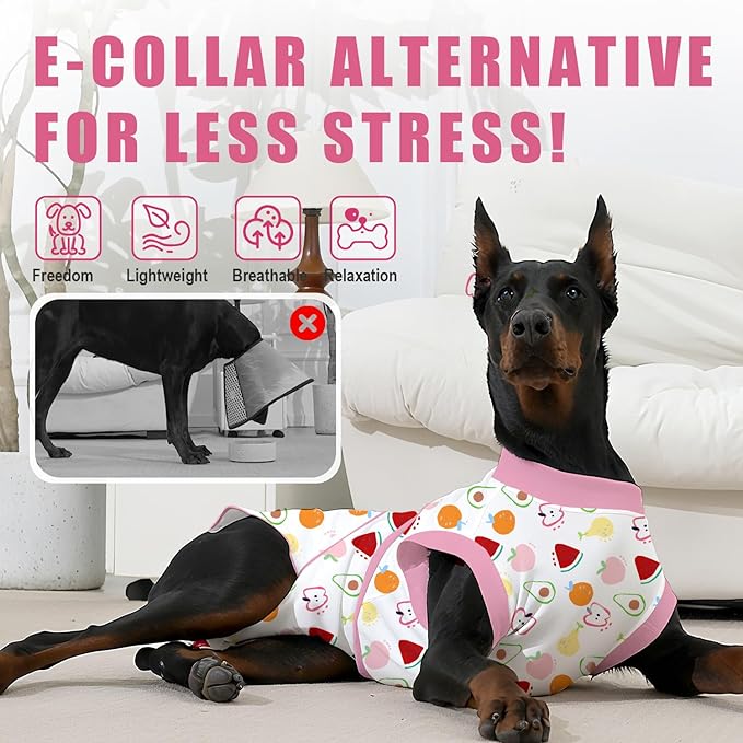 Recovery Suit for Dogs After Surgery, Professional Dog Surgical Suit for Female Spay, Male Neuter, E-Collar &amp; Cone Alternative Dog Onesie for Abdominal Wounds Skin Disease, Fruit, L