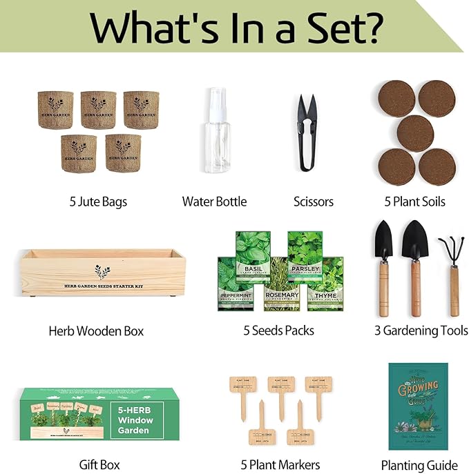 5 Herb Seeds Garden Starter Kit with Complete Planting Kit &amp; Wooden Flower Box, Growing into Basil, Parsley, Rosemary, Thyme, Mint for Kitchen Windowsill Herb Garden DIY