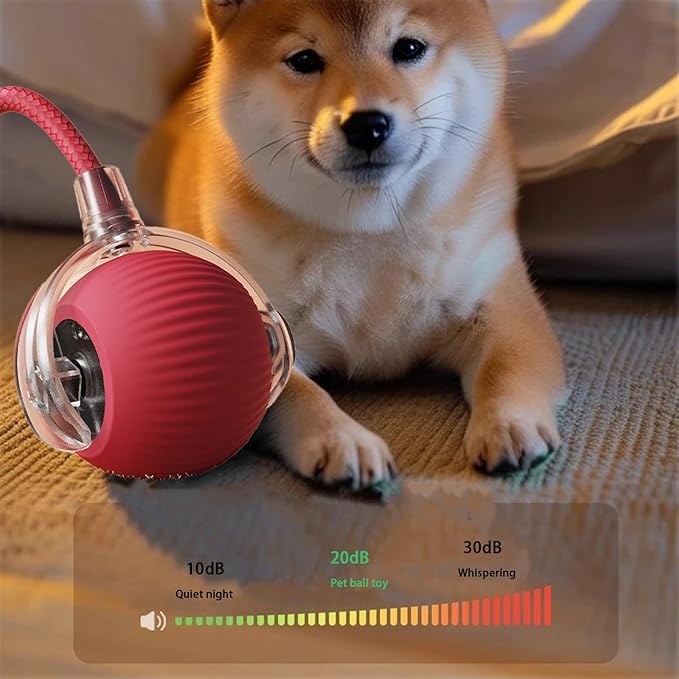 Interactive Cat Toy Ball for Indoor Cats - 3-Speed Smart Rolling Ball with Flashing Lights, USB Rechargeable Automatic Motion Kitten Toys for Bored Adult Cats &amp; Playful Kittens