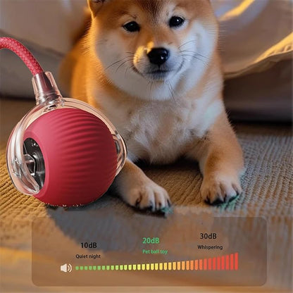 Interactive Cat Toy Ball for Indoor Cats - 3-Speed Smart Rolling Ball with Flashing Lights, USB Rechargeable Automatic Motion Kitten Toys for Bored Adult Cats &amp; Playful Kittens