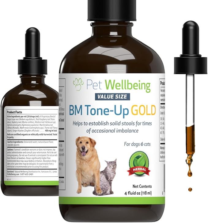 Pet Wellbeing BM Tone-Up Gold for Dogs &amp; Cats - Supports Healthy Digestive Function, Solid Stools, Normal Bowel Movements, Bayberry - Veterinarian-Formulated Herbal Supplement 4 oz (118 ml)