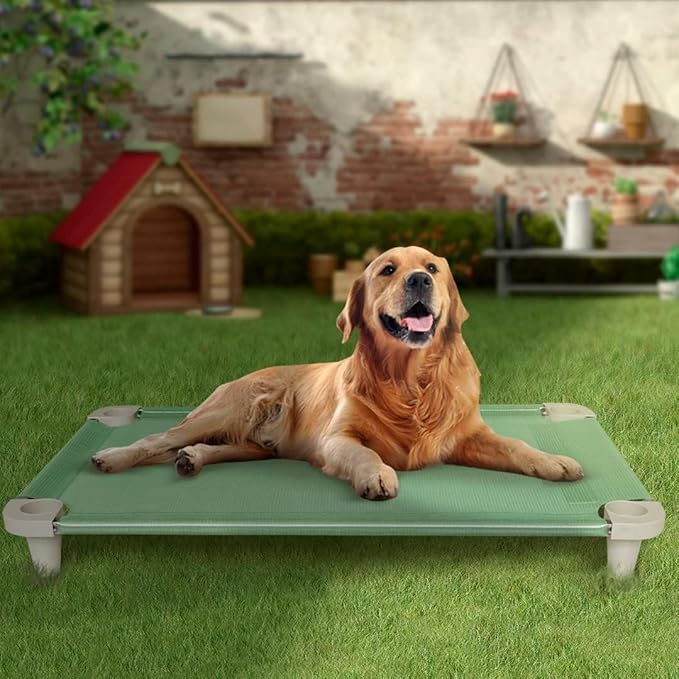 Acrimet Cooling Elevated Pet Dog Bed, Washable and Breathable Mesh Cot, Stainless Steel Frame, Indoor &amp; Outdoor Use, fits Dogs up to 110 lbs (Size: 40” x 24”), Green, 1 Unit