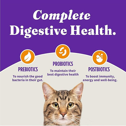 Halo Holistic Cage Free Chicken Cat Food, Grain Free Dry Cat Food, For Healthy Weight Support, Kibble for Indoor Cats, 10 lb Bag