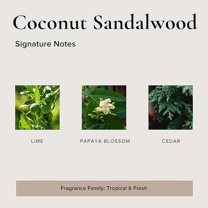 Coconut Sandalwood Car Air Freshener - 4 Pack