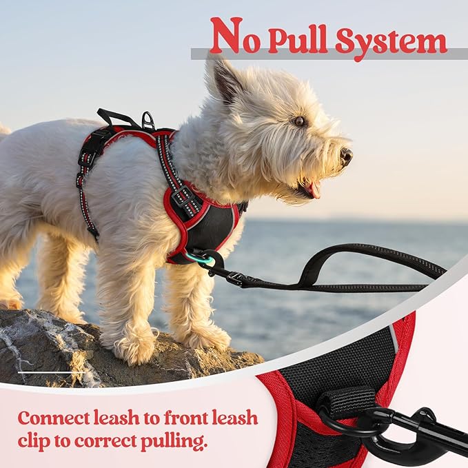 rabbitgoo Dog Harness No Pull with 2 Leash Clips, Adjustable Soft Padded, Reflective Oxford No Choke Pet Vest with Easy Control Handle for Puppy, Black &amp; Red, XS