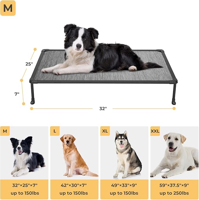 Veehoo Chewproof Elevated Dog Bed - Cooling Raised Pet Cot, Breathable Mesh, Washable &amp; Non-Slip for Medium Dogs, Indoor/Outdoor, Black Silver Mat and Black Frame, 32x25inches (Model CWC2203A03)