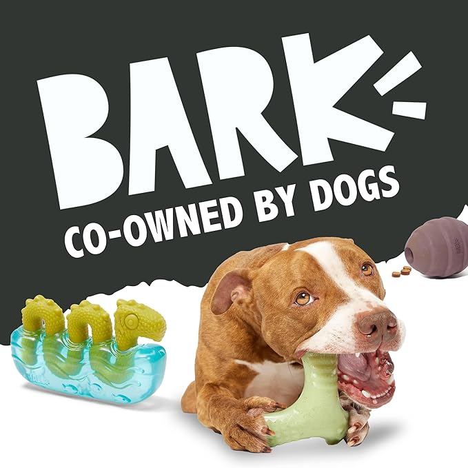Barkbox Grateful Ted Dog Toy for Medium Dogs – Strawberry-Scented Rip &amp; Reveal Toy for Determined Chewers and Interactive Playtime
