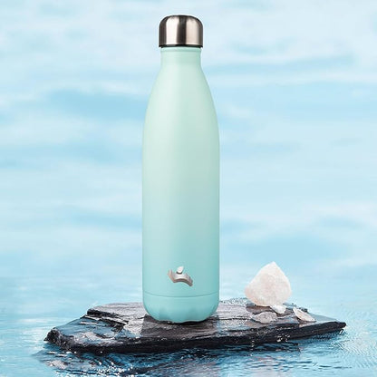 Insulated Water Bottles,25 oz Double Wall Stainless Steel Vacumm Metal Flask for Sports Travel,Mint