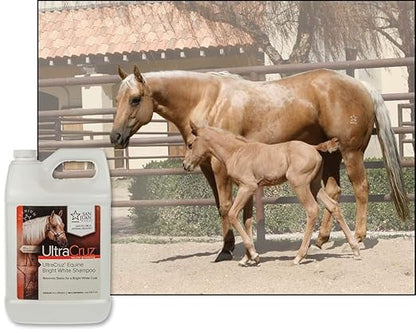 UltraCruz® Equine Bright White Shampoo, 1 Gallon