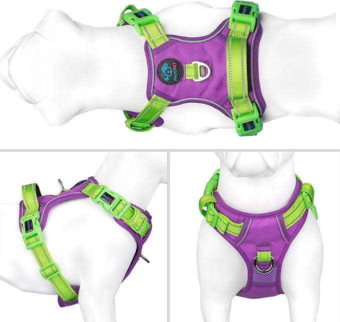 PHOEPET No Pull Dog Harness, Unique Colors Reflective Adjustable Dog Vest, with Soft Training Handle Metal Clips for Small Medium Large Dogs (Purple Base &amp; Green Straps,S)