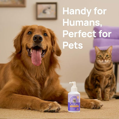 HICC PET Dog Dental Care Spray, Vet-Recommended Dog Breath Freshener, Soothing Bad Breath Caused by Plaque and Red Gums for Dogs &amp; Cats, Dog Gingivitis Treatment and Prevent Oral Infections, 5.1 Fl Oz