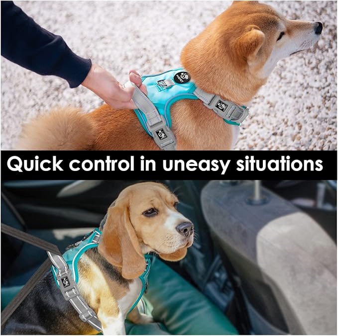 PHOEPET No Pull Dog Harness, Unique Colors Reflective Adjustable Dog Vest, with Soft Training Handle Metal Clips for Small Medium Large Dogs (Mint Green Base &amp; Grey Straps,XL)
