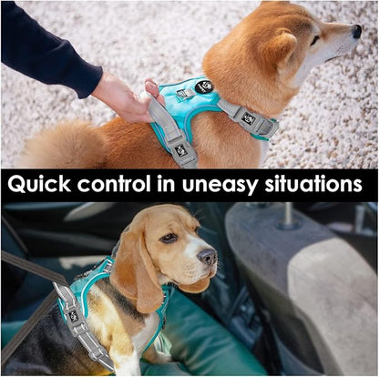 PHOEPET No Pull Dog Harness, Unique Colors Reflective Adjustable Dog Vest, with Soft Training Handle Metal Clips for Small Medium Large Dogs (Mint Green Base &amp; Grey Straps,XL)