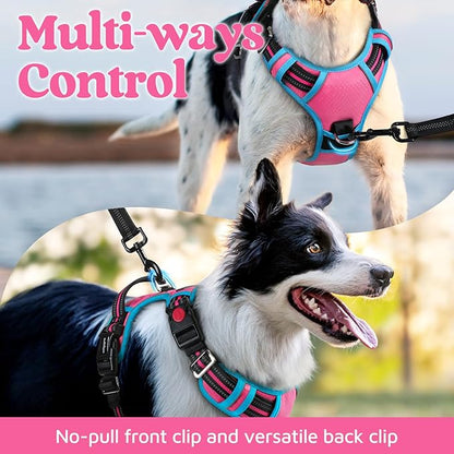 rabbitgoo Dog Harness Medium Sized, No Pull Dog Vest with 3 Buckles, Adjustable Soft Padded Pet Harness with Easy Control Handle and Reflective Strips, Rose Pink &amp; Blue, M