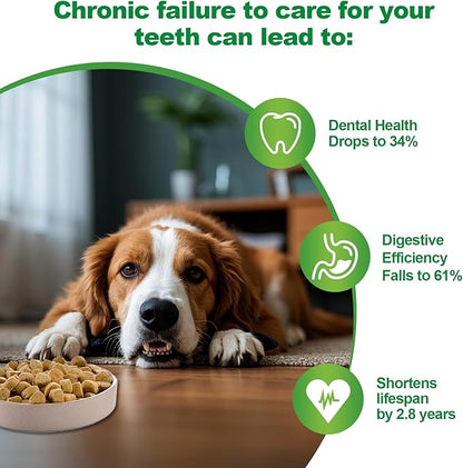 Dog Dental Powder,Dog Teeth Cleaning Powder,Dog Dental Cat Dental Care,Cat and Dog Teeth Cleaning,Canine Plaque Remover Helps Reduce Bad Breath,Improve Pet&