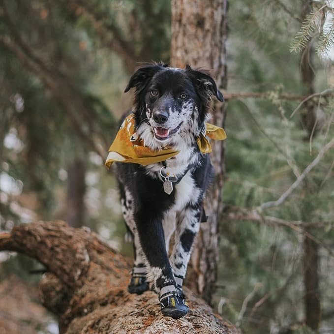 QUMY Dog Shoes for Large Dogs, Medium Dog Boots &amp; Paw Protectors for Winter Snowy Day, Summer Hot Pavement, Water-Resistant in Rainy Weather, Outdoor Walking, Indoor Hardfloors Skid-Resistant Sole