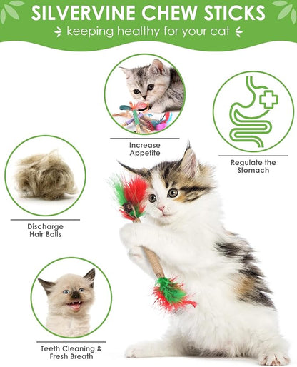 TINDTOP Cat Chew Toys, 12 Pack Silvervine Chew Sticks with 2 Pack Chew Ropes for Kittens Teeth Cleaning, Increase Appetite, Aggressive Chewers Cat Dental Toy