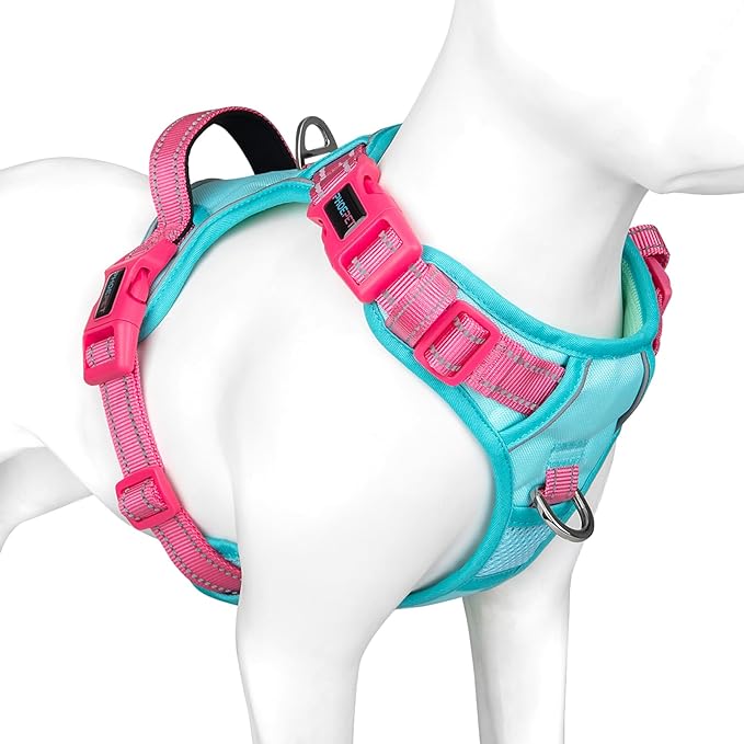 PHOEPET No Pull Dog Harness, Unique Colors Reflective Adjustable Dog Vest, with Soft Training Handle Metal Clips for Small Medium Large Dogs (Mint Green Base &amp; Pink Straps,M)