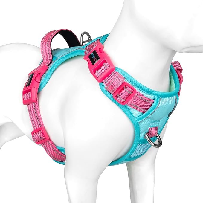PHOEPET No Pull Dog Harness, Unique Colors Reflective Adjustable Dog Vest, with Soft Training Handle Metal Clips for Small Medium Large Dogs (Mint Green Base &amp; Pink Straps,S)
