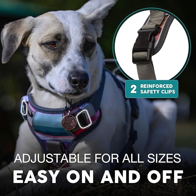 Embark Adventure Dog Harness, Reflective Trim XL Dog Harness for Extra Large Dogs No Pull - Military Grade Nylon, 2 Leash Clips &amp; Gel Lined Handle. Soft &amp; Padded Puppy Dog Harnesses for Any Breed