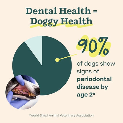 WOOF Dental Kit- Includes Pupsicle Dog Toy, Treat Tray, Shaker Bottle, Chicken Pupsicle Pops, and Dog Teeth Cleaning Powder - Supports Oral Health for Dogs - Large