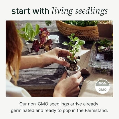 Farmstand Starter Kit + 24 Seedling Credit | Medium Hydroponic Growing System Kit | Self-Watering Outdoor Vertical Garden Planter Tower | 4ft 10in | Made in USA